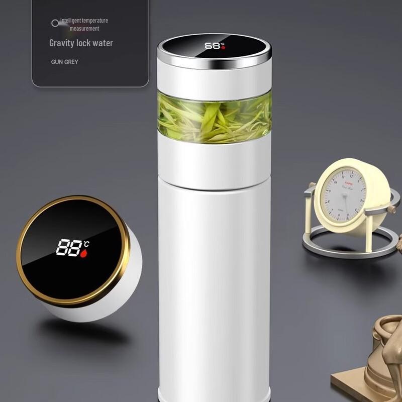 Shangqi Smart Temp Display Tea Infuser Bottle