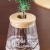 Transparent Flower Pot Hydroponic Automatic Water Absorption Plastic Flower Pot