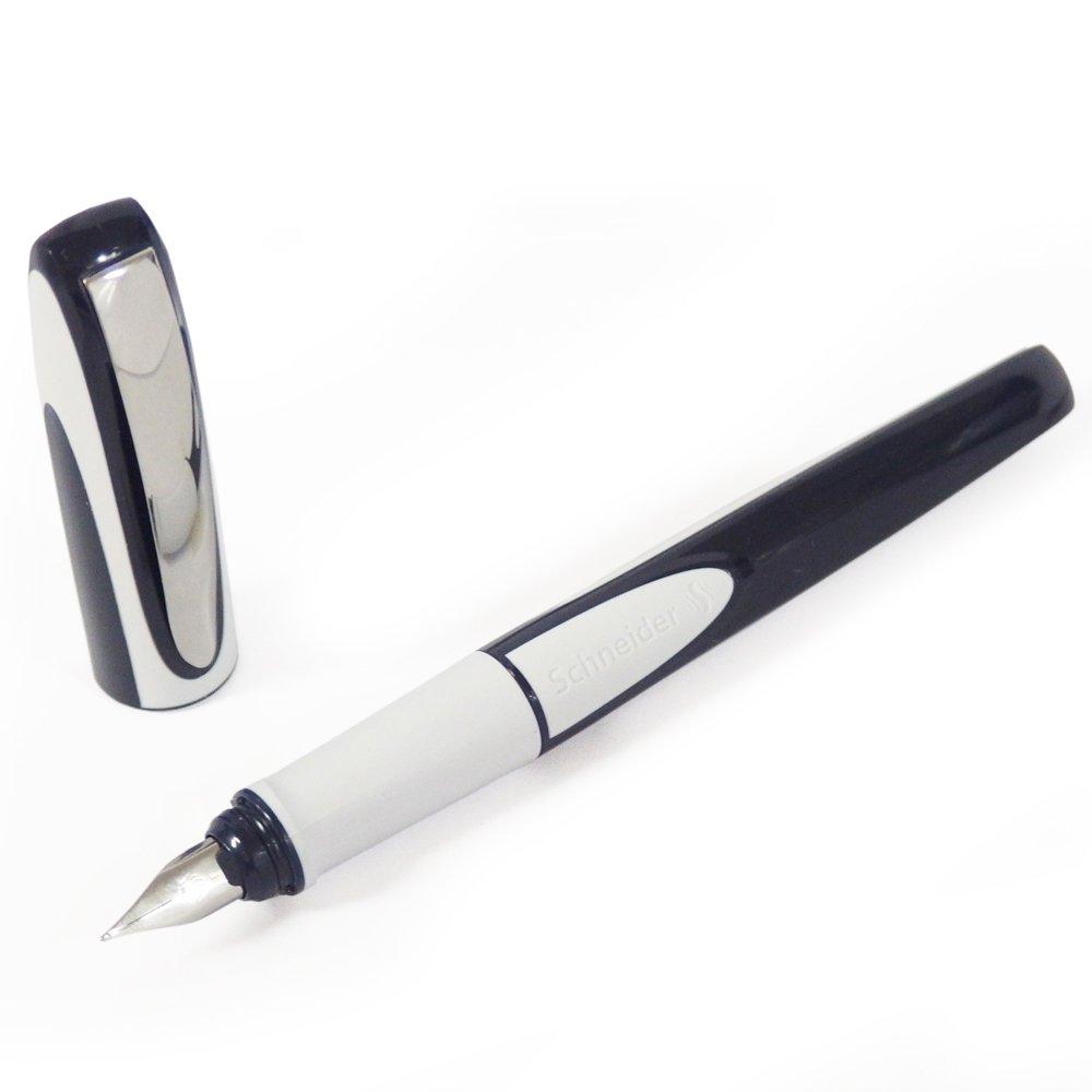 Schneider Ray Series Fountain Nib Ink Includes 1 Ink Body RYFP168123F Pen, Size F/Fine, Color Black, Cartridge, Color Blue/Light Gray,