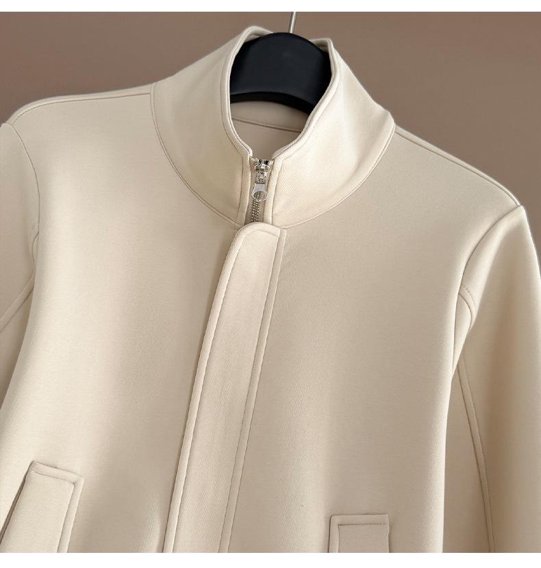 Women's Trendy Korean Style Casual Sports Suit: Plush Stand Collar Jacket & Wide-Leg Pants Two-Piece Set for Spring/Autumn 2026.