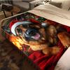 1 Pezzo Coperta in Flanella con Stampa Cartone Animato, Alta Qualità Confortevole per Tutte le Stagioni, Decorazione per la Casa, Calore e Comfort, Perfetta per Regalo di Natale Compleanno