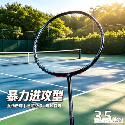 Professional Full Carbon Badminton Racket 4U Offensive Power Type Men Women Indoor Outdoor Training Competition