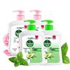Antibacterial Moisturizing & Caring Pine Fresh Hand Wash