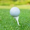 20pcs Golf Tee Holder 10 Degree Oblique Insertion Golf Nail Ball Tee Support Reusable No-resistance for Golfer Practice Supplies