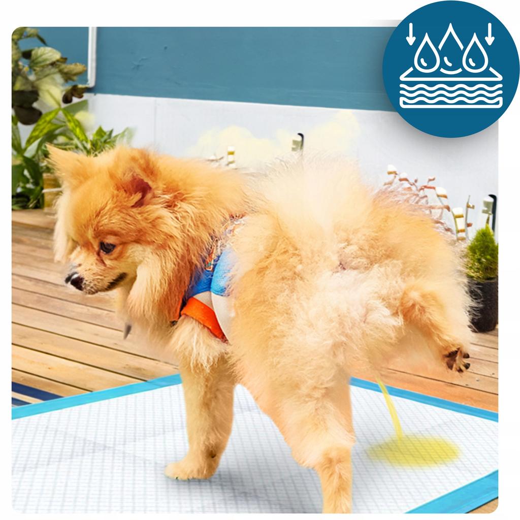 Hygienic Pads Absorbent Mats For Dogs Disposable 60X40Cm 100 Pcs + Bags