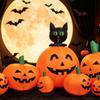 Cat and Pumpkin Lighted Inflatable with Pumpkins Halloween Decoration for Lawn,