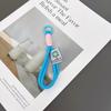 Color Block Double Rope Braided Phone & Keychain Lanyard Strap