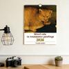 Weird Cats In Renaissance 2026 Wall Calendar 12 Medieval Cat Art Paintings Monthly Calendar for Home Office Funny Gift for Cat Lovers