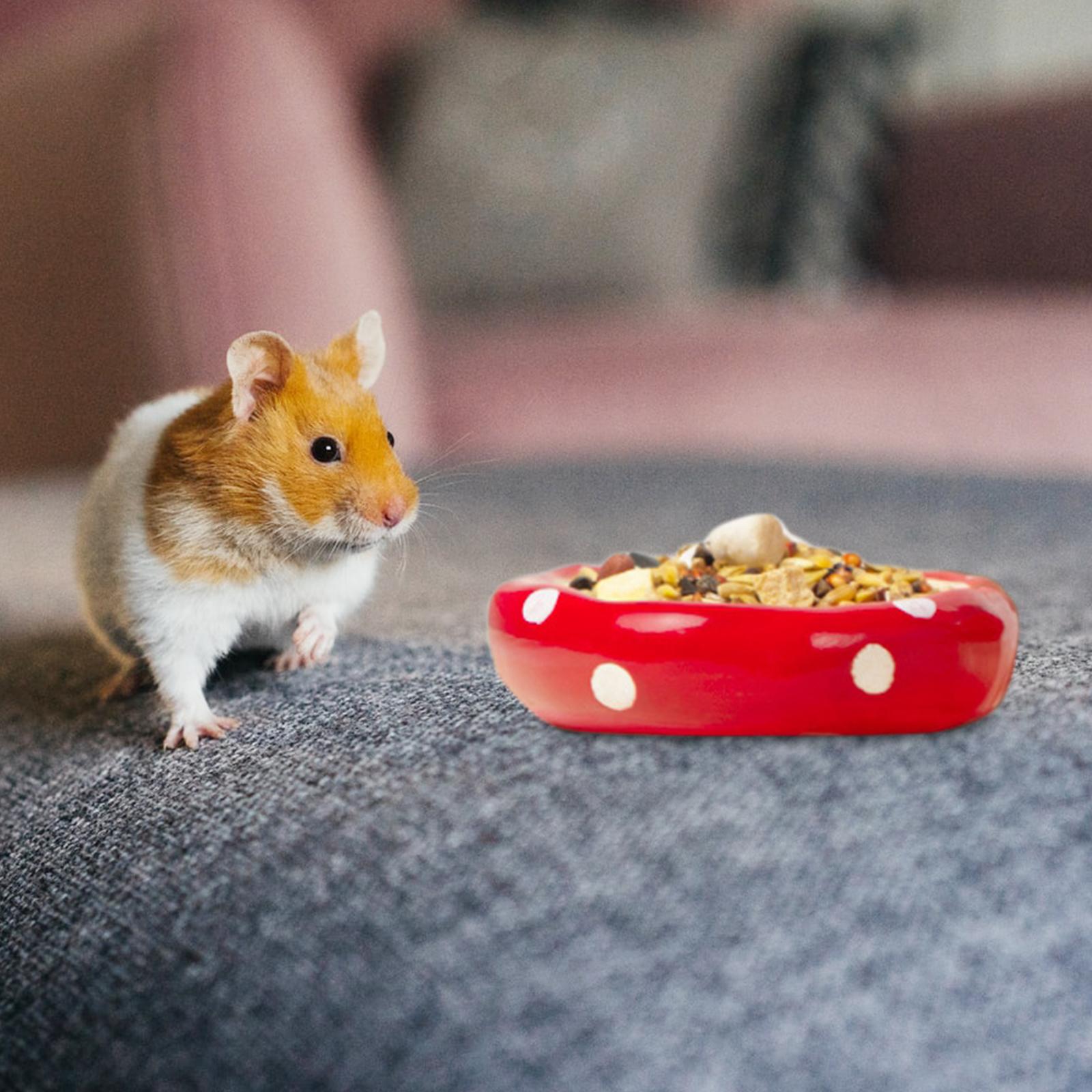 Ceramic Hamster House Hamster Habitat for Dwarf Hamster Small Pets Ferret