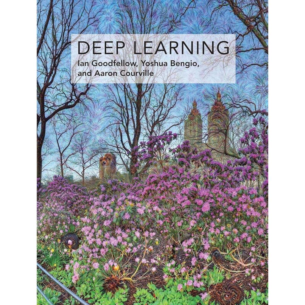 Deep Learning Hardcover Q307 UKN1273