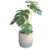 Rilmy Fake Green Tabletop Plants Monstera Artificial Flowers Artificial Plants Interior Stylish Interior Green Mini Fake 36cm Height with Pot Cover