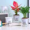 Self Watering Plant Pot Flower Pot with Deep Clear Reservoir Modern Planter with Wick Ropes for Houseplants Indoor Pothos