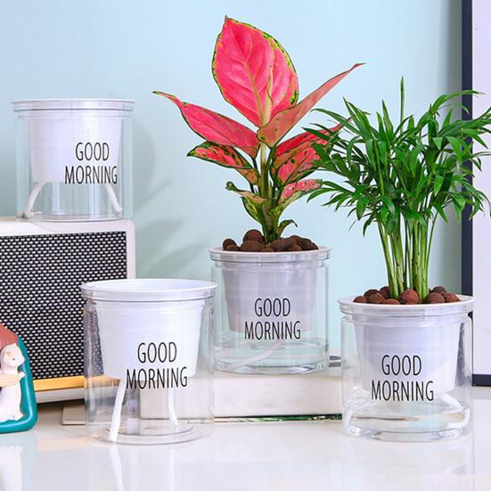 Self Watering Plant Pot Flower Pot with Deep Clear Reservoir Modern Planter with Wick Ropes for Houseplants Indoor Pothos