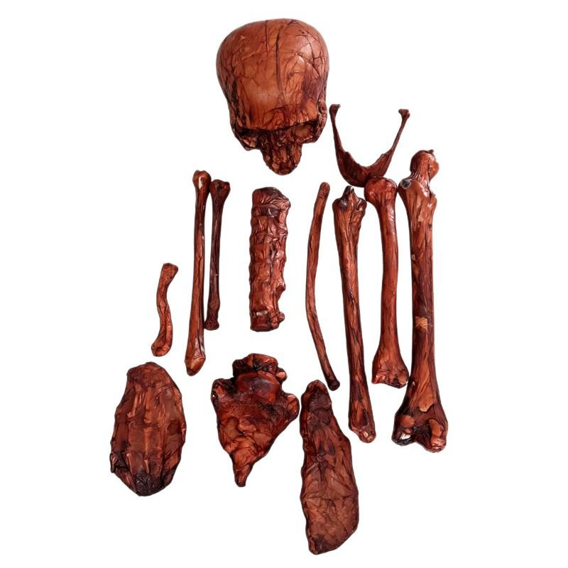 Halloween Skeleton Bone Props Set 14pcs PE Fake Human Bones Haunted House Bar Party Decor