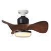 Oeny Ceiling Fan Light