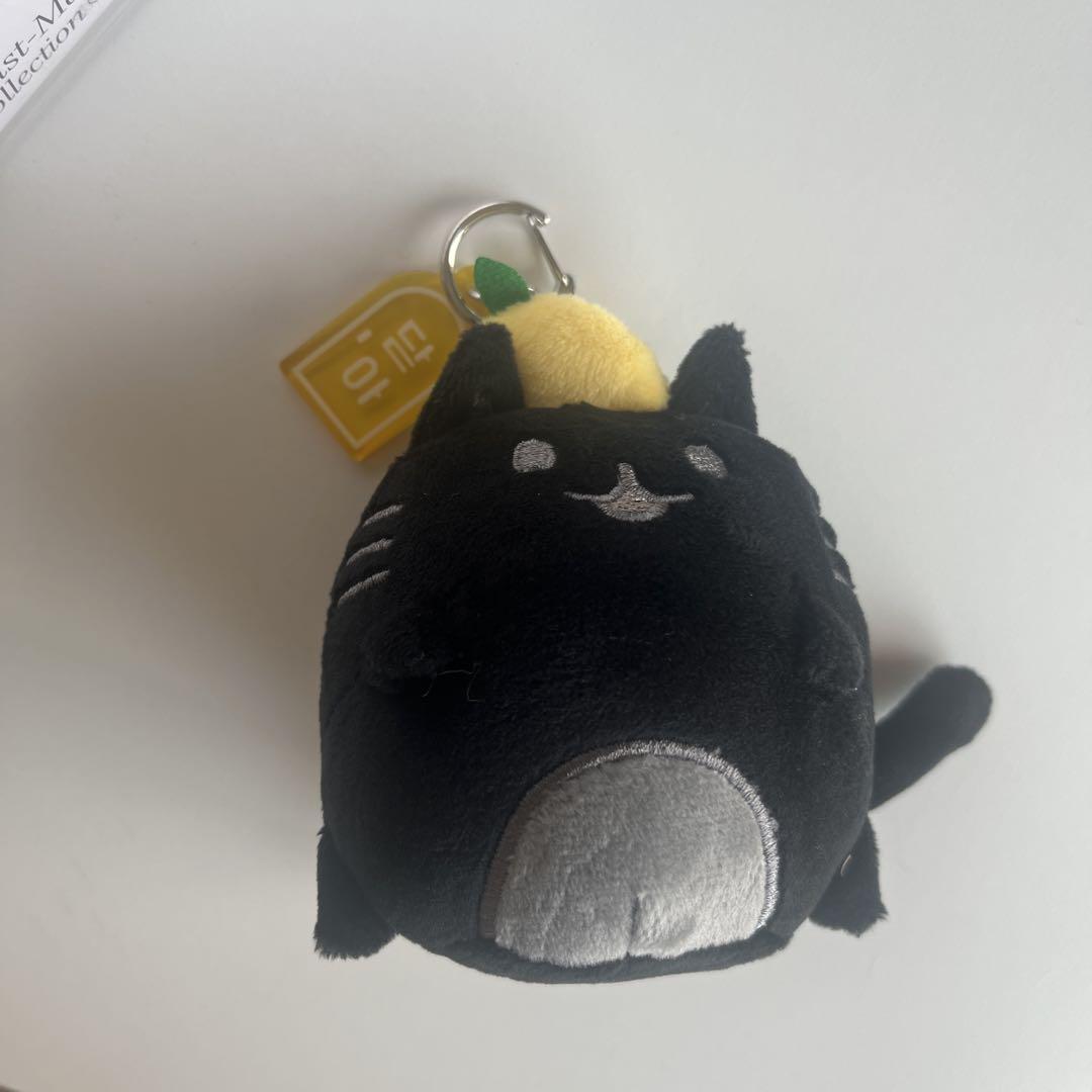 

[USED] SEVENTEEN Jun Artist Made Tada Key Ring