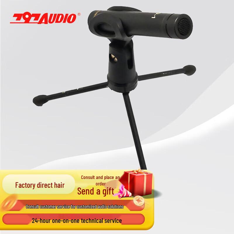 797audio Professional Recording & Interview Microphones (CN version)