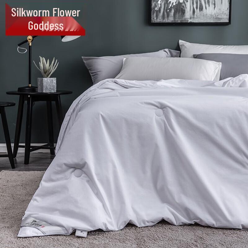 

SILKUEEN All-Season Mulberry Silk Duvet Set