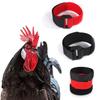2 Pieces Chicken Collars Noise Free Neck Belt No Crow Rooster Collar Preventing Chickens from Disturbing Neighbors