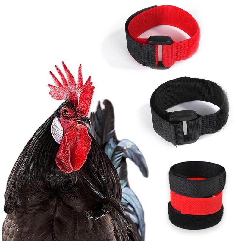 2 Pieces Chicken Collars Noise Free Neck Belt No Crow Rooster Collar Preventing Chickens from Disturbing Neighbors
