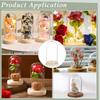 BENECREAT 30-Piece Set Clear Glass Domes 3x6cm with Wooden Bases Display Cloche Glass Domes Eternal Flowers for Flowers, Plants, Miniatures, Specimens