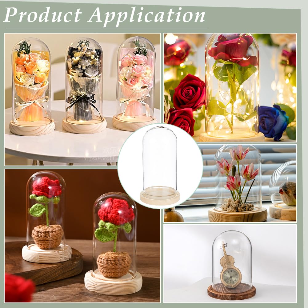 BENECREAT 30-Piece Set Clear Glass Domes 3x6cm with Wooden Bases Display Cloche Glass Domes Eternal Flowers for Flowers, Plants, Miniatures, Specimens