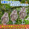 Sac Taske Bird Realistic Owl Bird Pigeon Crow Bird Pest Control of 3 Horned Repellent, Design, Scare, Repellent, Repellent, (Set Owls)