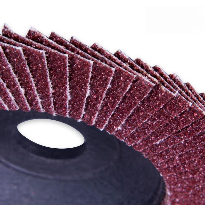 Dongcheng Flap Disc Grinding & Polishing Wheel CN plug (adapter included)