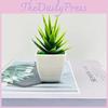 Simulated Vera Aloe Acorus Tatarinowii Succulent Plants For Decoration Indoor