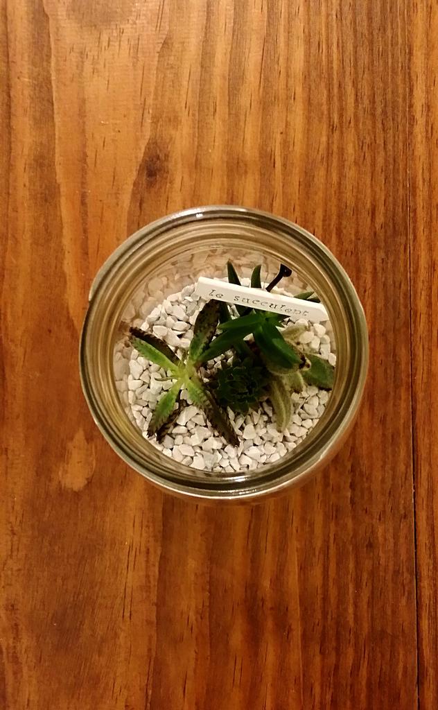 ADERIA Silver Cap Storage Set of Made in These glass storage containers are ideal for storing coffee and other Bottles, 450ml, 6, Japan, M6579.