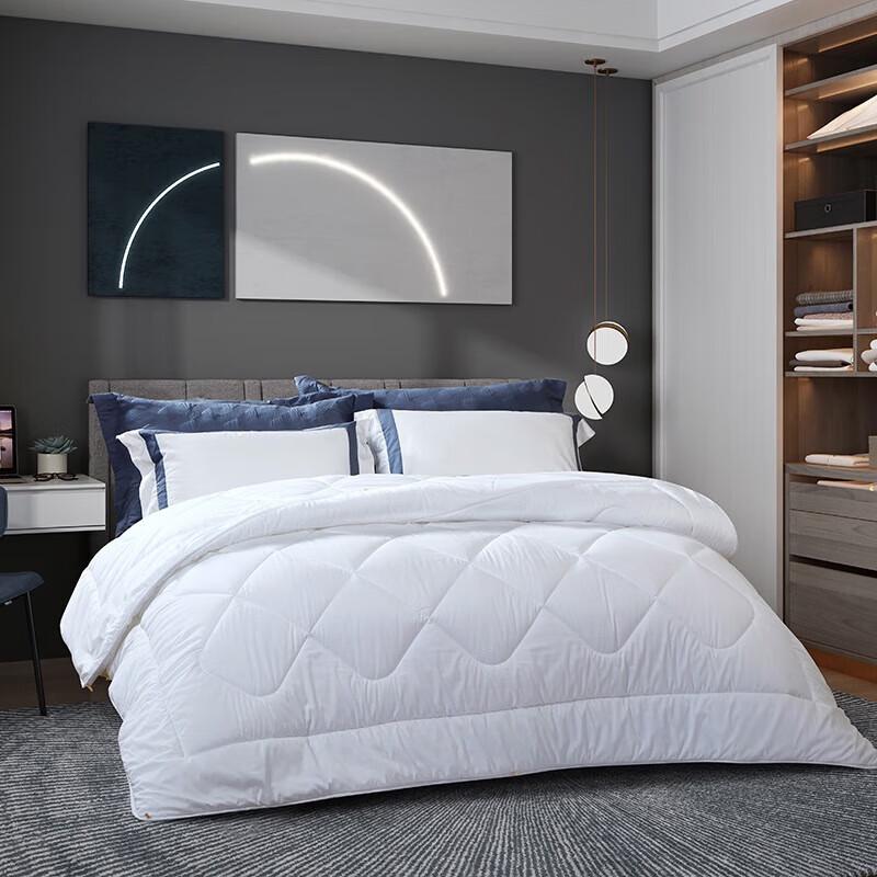 

Fuanna Super Warm Winter Thick Duvet