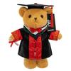 Doctor Hat Bear Doll Plush Toy Bachelor Suit Teddy Bear Doll Student Graduation Commemorative Gift