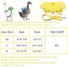 4pcs pet duck outdoor walking belt, hen skin belt, adjustable outdoor training leash, chicken, goose, hen