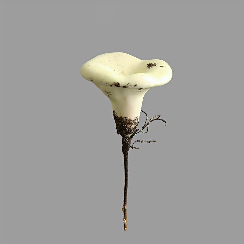 1PC Artificial Plant Cute Micro Landscape DIY Mini Mushrooms Simulated Forest Landscape Accessories Bonsai & Garden Decor