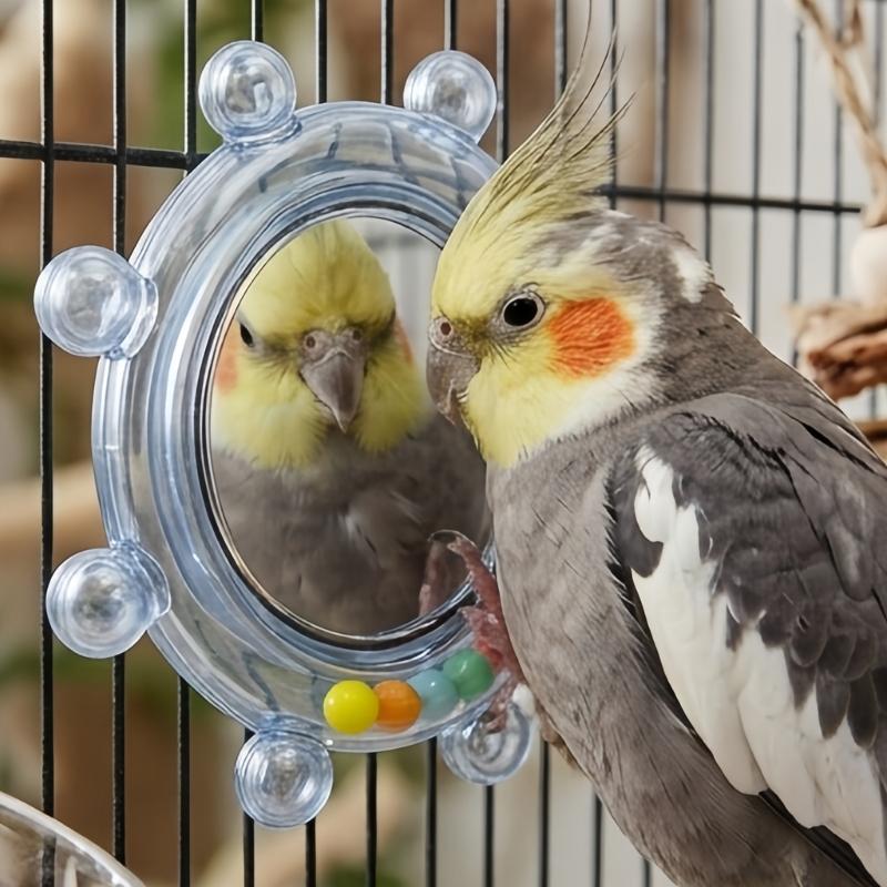 Pet Bird Mirror Play Toy for Small Companion Birds, Rotating Round Cage Mirror with Plastic Frame, 2 Piece Enrichment Set for Routine Use
