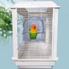 Bird Cage Mounted Shower Room Antisplashing Hangable Bathing Tub for Parakeets