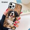 Berner Sennenhund weiche Handyhülle Abdeckung Für iPhone 17 Air 16 15 14 plus 12 13 pro max Hülle Shell Fundas