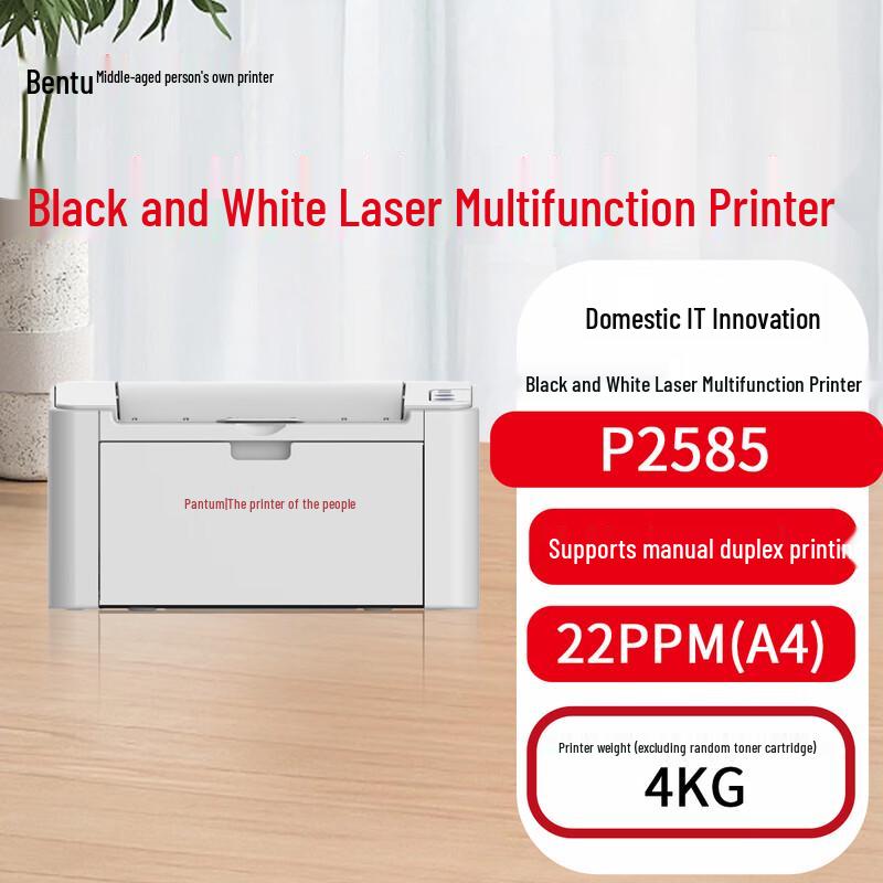 Pantum P2585 A4 Mono Laser Printer CN Plug (adapter Included)