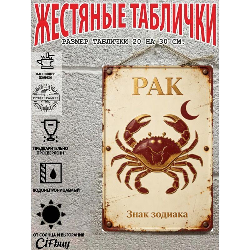 Vintage Metal Wall Poster Zodiac Sign, Living Room Decor, 20x30cm
