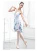 Elastic Waist Irregular Mesh Ballet Dance Skirt for Women