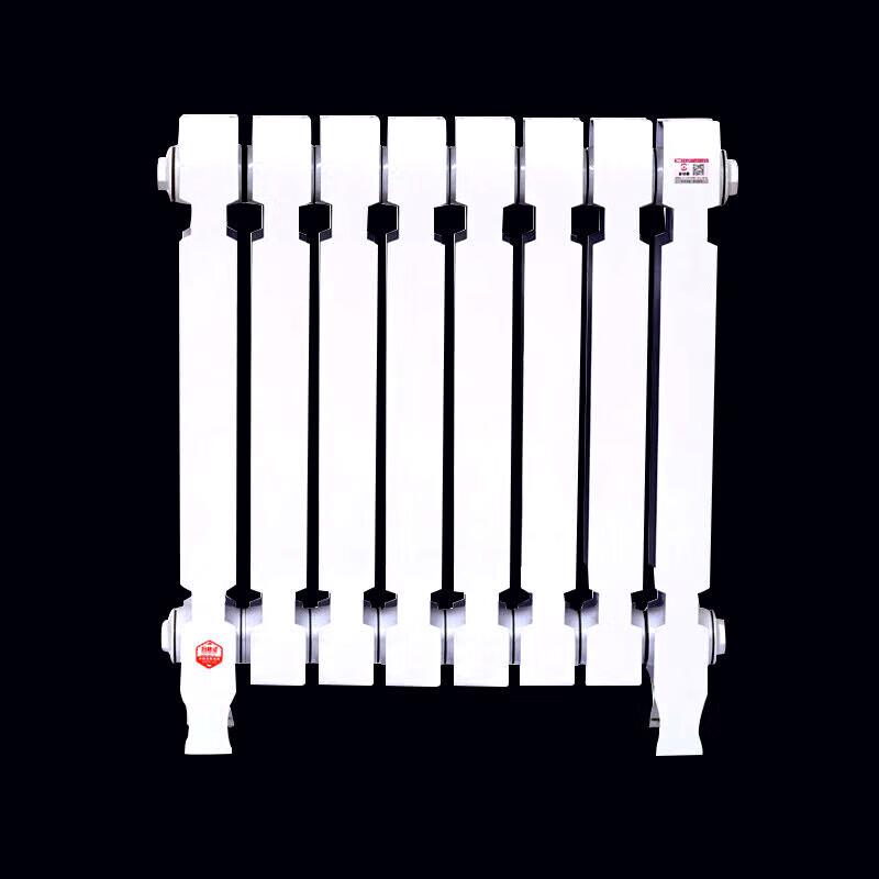 Lixing TZY2-6-8/62B Cast Iron Radiator