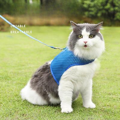Katzenleine im Westenstil, bruchsicher, spezielle Katzenbrustgeschirr, verstellbare, atmungsaktive Haustier-Katzenleine