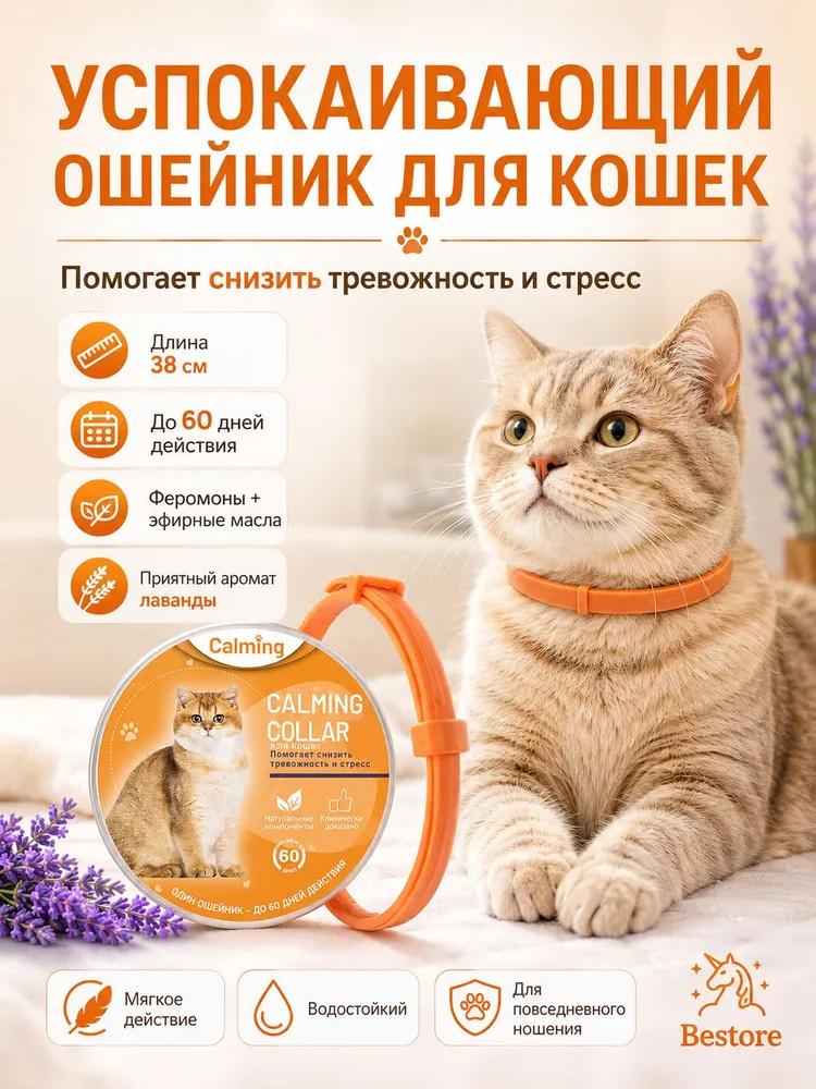 Calming Collar with Infusion for Relaxation - Adjustable 38cm