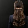 2-Piece Spring Hair Barrette Set Hairpin with Faceted Flowers and Leaf Trim for Holiday, Wedding and Stage Hairstyles