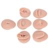 Silicone Body Practice Model Simulation Silicone Ear Eye Nose Mouth Tongue and Belly Button Model for Novice