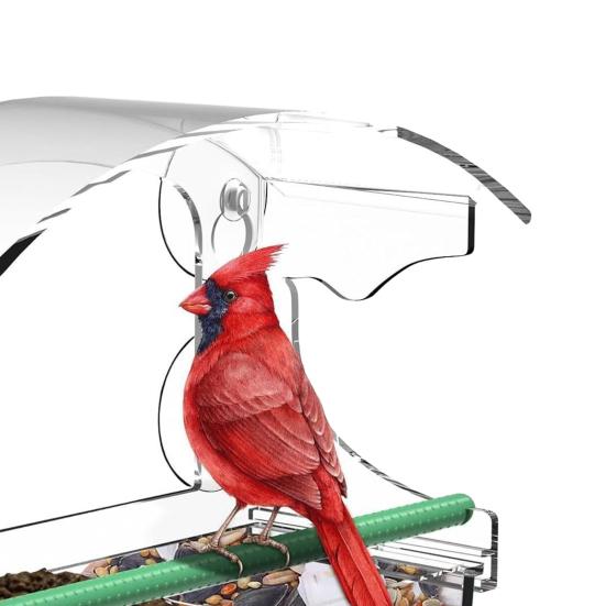 Krmítko pro ptáky na okno s přísavkami Odnímatelný zásobník na krmivo Průhledný akryl Venkovní krmítko pro malé divoké ptáky Zahradnický dárek