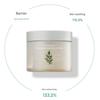 MISSHA Artemisia Calming Ampoule Pads 225ml | 50 Pads