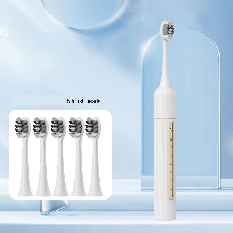 DSK Sonic Electric Toothbrush