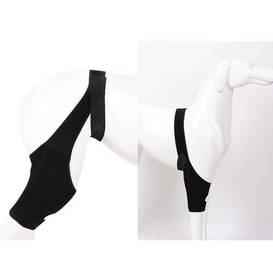 Dog Knee Rear Leg Brace with Fastening Strap Wear Resistant Ultralight Adjustable