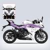 Pattern Printing Stickers Kits for Motorcycle Protection and Decoration, Used for CFMOTO 250SR 300SR 2022 2023, Various Styles